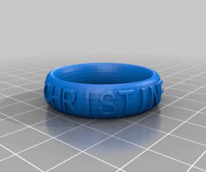 My Customized Ringbraceletcrown Thing V2 3D Models