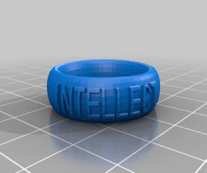 My Customized Text Ringbraceletcrown Thing 3D Models