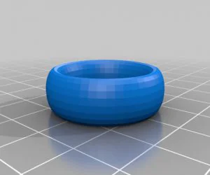 My Customized Text Ringbraceletcrown Thing 3D Models