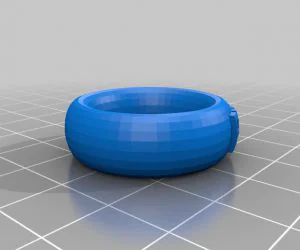 Rr Chnm Ring 3D Models