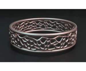 Subtle Spiked Bracelet Or Ring 3D Models