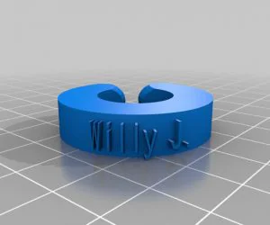 Dianacustomizedring2Turn2Rotation 3D Models