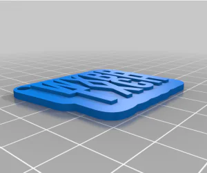 My Customized Multiline Tag Or Keychain Larger Fonts 3D Models