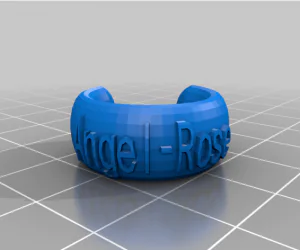 My Customized Text Ringbraceletcrown Thing 3D Models