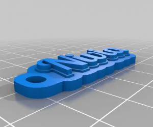 My Customized Text Ringbraceletcrown Thing 3D Models