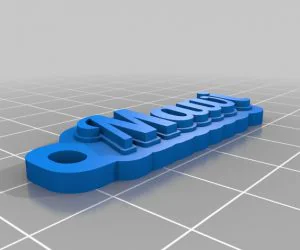 Crazy Keytag 3D Models