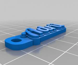 My Customized Text Ringbraceletcrown Thing 3D Models