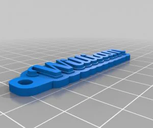 My Customized Text Ringbraceletcrown Thing 3D Models