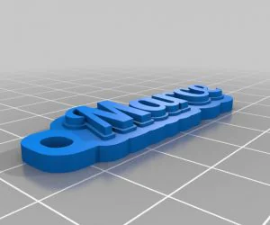 My Customized Text Ringbraceletcrown Thing 3D Models