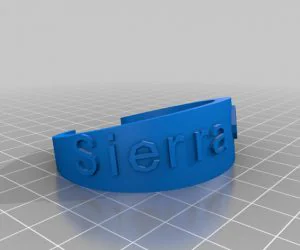 Shweta 3D Models