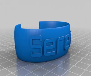 Bracelet41020 3D Models