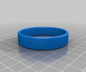 My Customized Flexible 3D Printed 3D Models