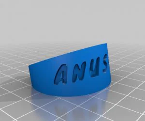 My Customized Stretchy Bracelet 3D Models