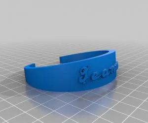 Smith School Bracelet 3D Models