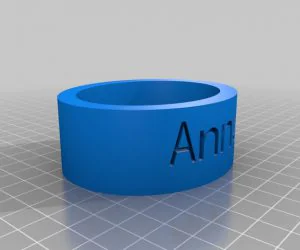 Snt Bracelet 3D Models