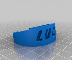 Dpl Bracelet 3D Models