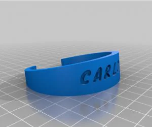 Trigbracelet152012 3D Models