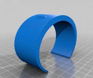 Fpl Bracelet 3D Models