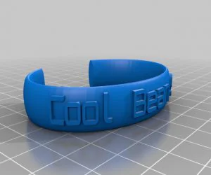 Valpal Bracelet 3D Models